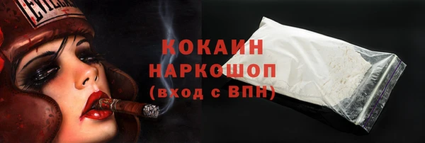 прущие грибы Абинск