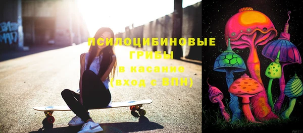 прущие грибы Абинск