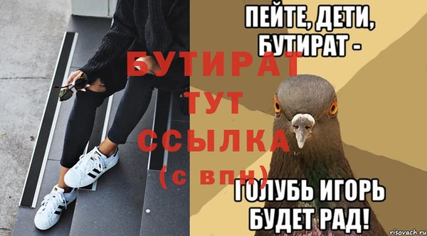 сатива Сатка