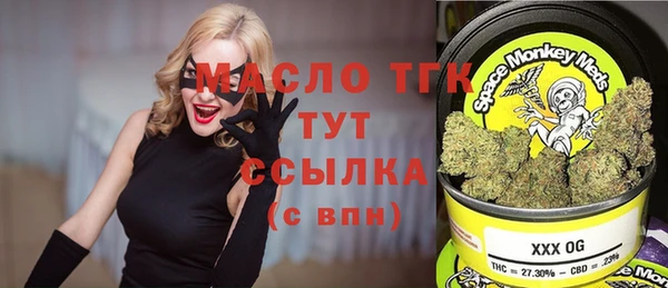 сатива Сатка