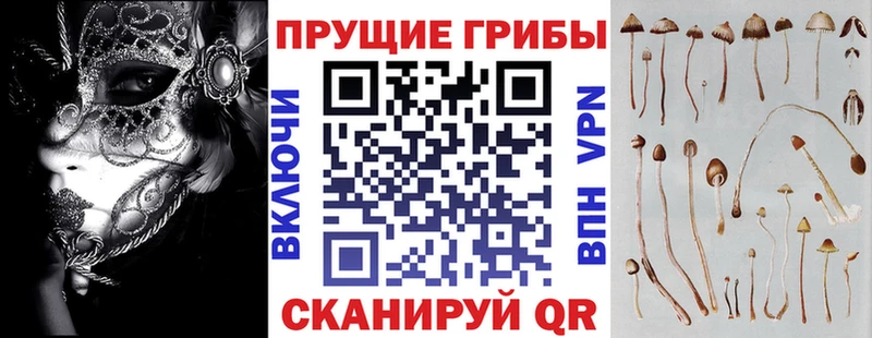 где купить   Вилючинск  Псилоцибиновые грибы прущие грибы 